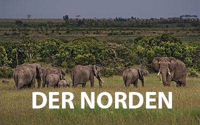 Nationalparks im Norden von Kenia