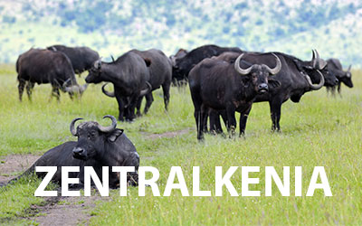 Nationalparks in Zentralkenia